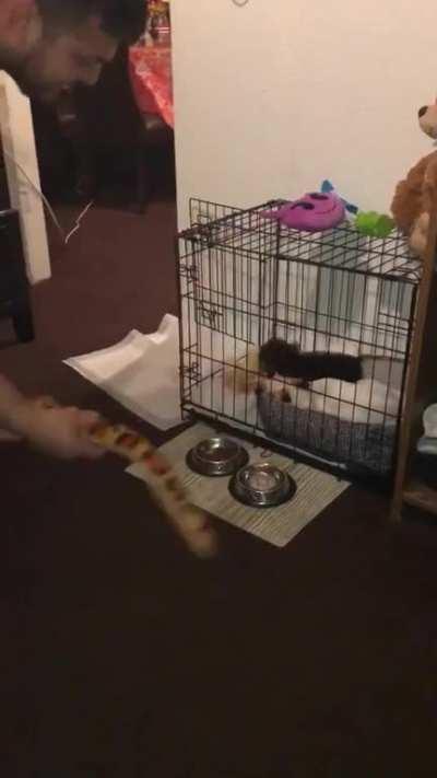 Not Allowed To Touch Her Stuff Without Permission