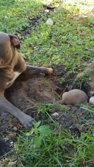 Para de encher o saco disgraca