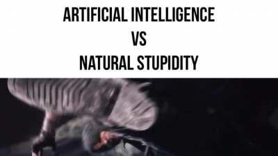 A battle for the ages