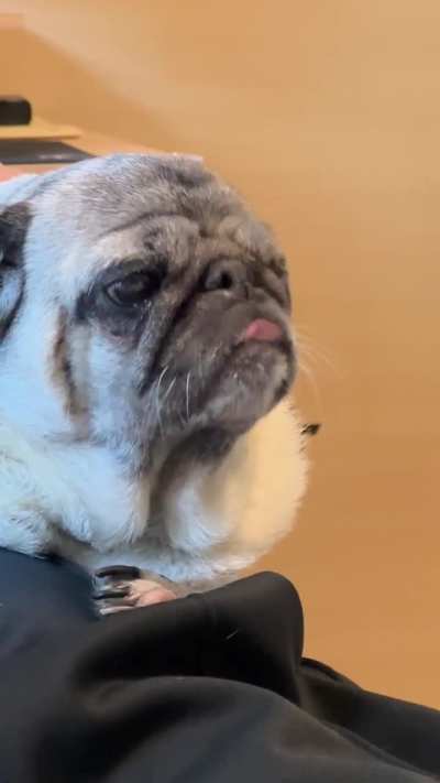 Why the hell they do this???