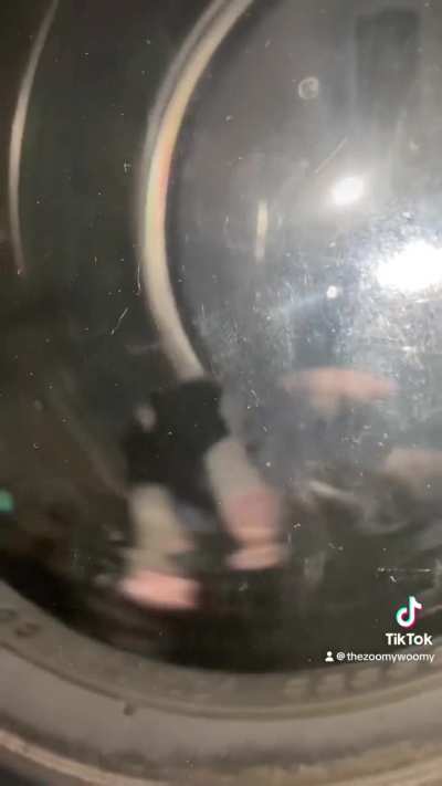 She was sentenced to the dryer for her crimes