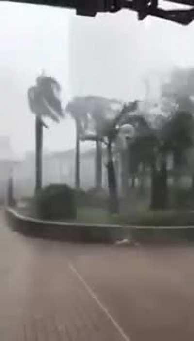 Walking outside during a hurricane