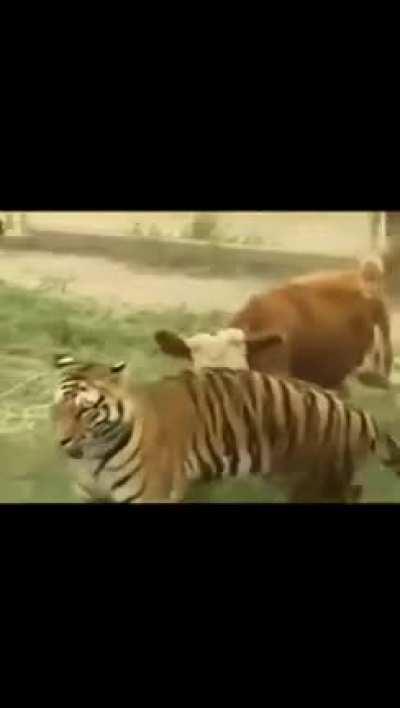 *Factory reset be like:*