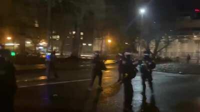 New Year, same liberal riots in Portland