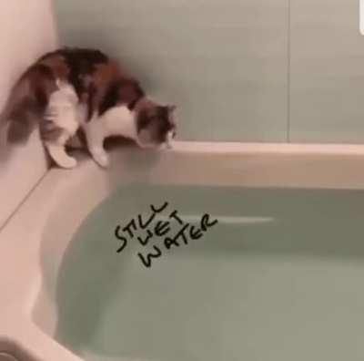 Don’t know if this has been uploaded before, but it’s still funny!