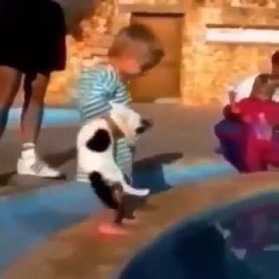 WCGW You go swimming kitty