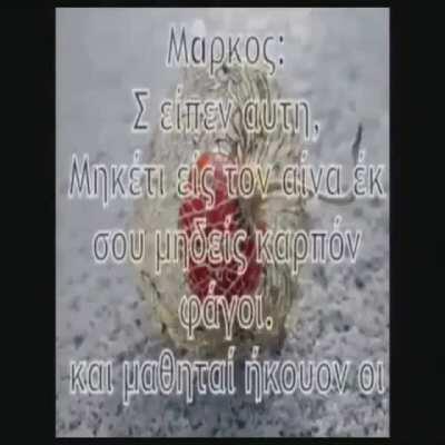 I don't really know if this is the right channel (if itsn't i will remove the video on request) but dpes anyone have the sauce of this video?