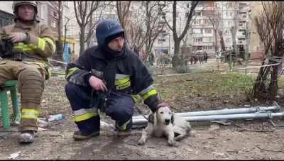 Shaking dog is comforted by rescuers at the site of Zaporizhzhia missile attack (credit: DSNS)