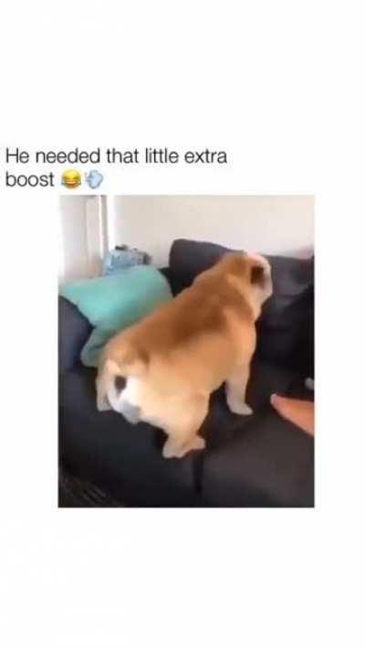 Not sure what I just saw