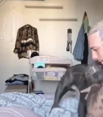 Heartwarming bond between a pitbull and a newborn baby