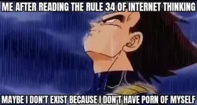 Yo después de leer que que probablemente no exista porque no tengo porno de mi en la rule34