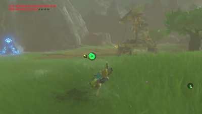 Uh, Link, the limbo competition was yesterday...