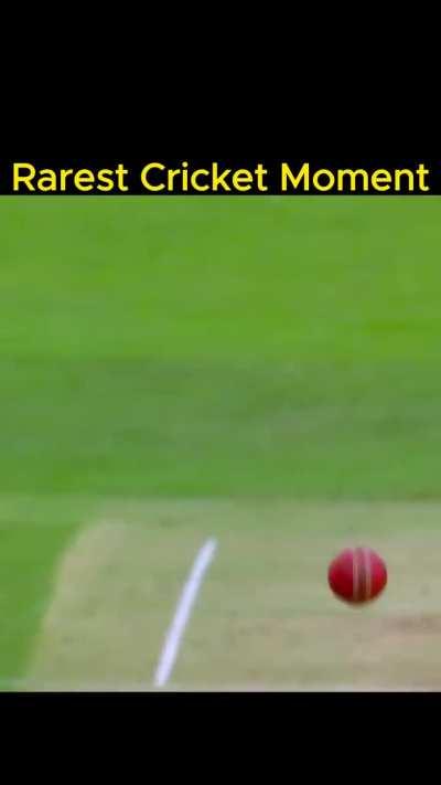 Why is Raina pulling thala's hair like that?