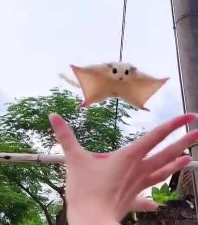 The hug at the end !