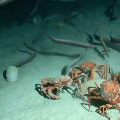 The sped up made it even darker