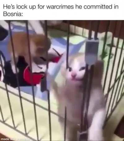 Don’t ask him what he did