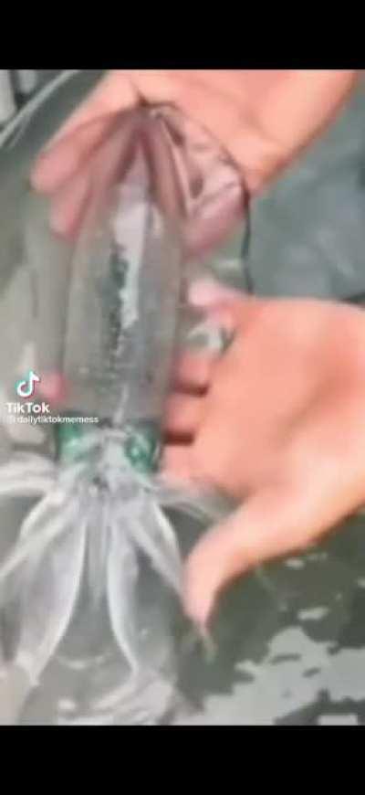 So, I beleve i made myself clear