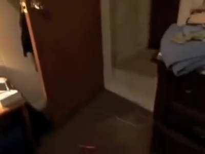 Wordington home invader