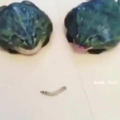 the twins have awoken!