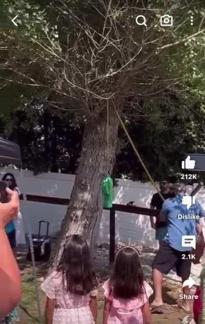 Revenge of the piñata