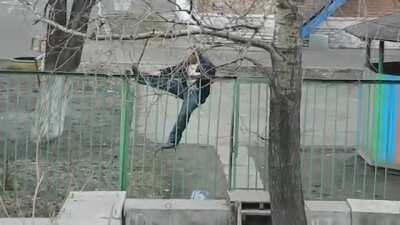 Trying to climb over the fence