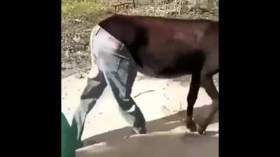 Esse vídeo é proibido em 50 países