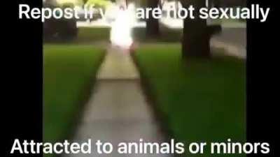 I choose to play Solo