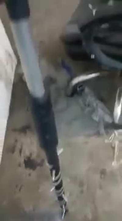 Spiked Taser Baton used by the Indian Army at the border with China. Treaty prevents either side from carrying guns near the Border.