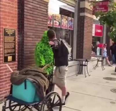 Imagine getting your ass beat by a tree