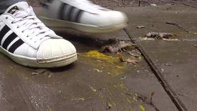 sneaker crush 5 crawdads