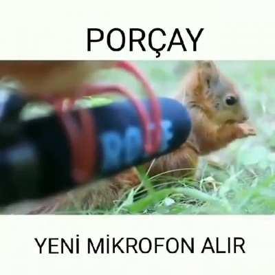 Mantar çorbasıyla çekilen videolardan nereye ah ahh