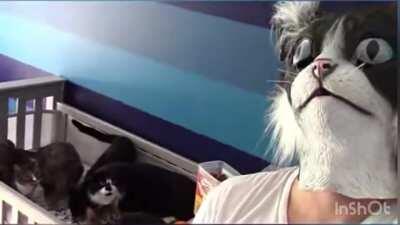 Just wanted to feed em