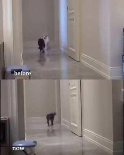 Why are we still here? Just to suffer?