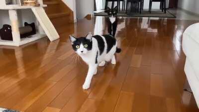 The black girl seems to have used the magic to stop the time