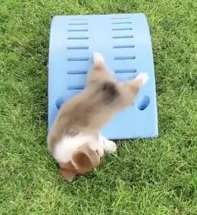 A cute little extra splet at the end