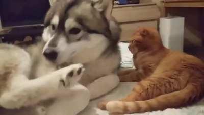 How good..how good..Oops