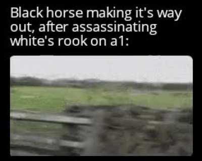 Mission accomplished 👍🏼 🐴