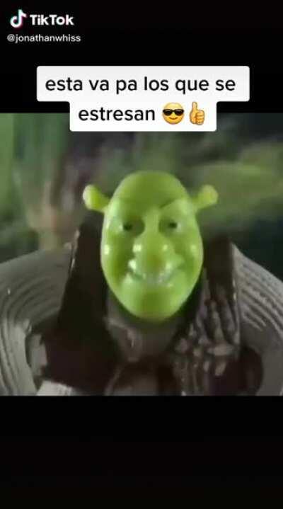 Que gran consejo Shrek