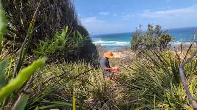 What is it about the sun and ocean?