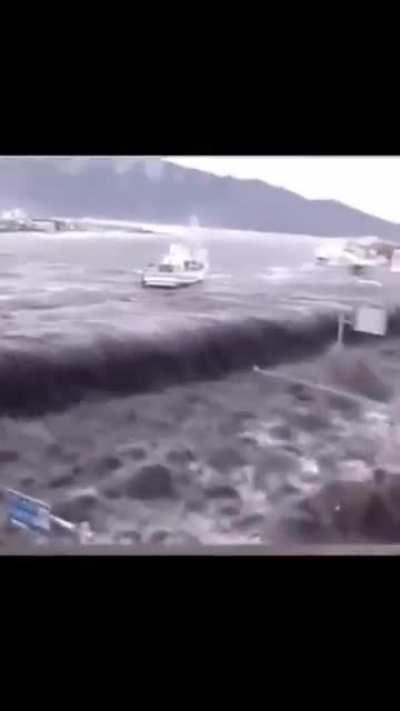 The Tsunami that devastated Japan back in 2011