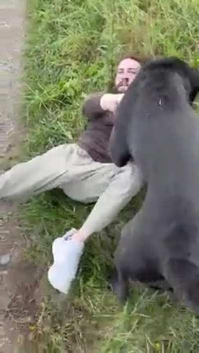 Dang, catfished again!