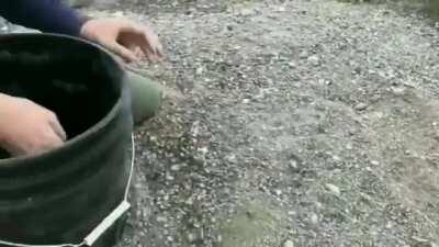 The Owl Bucket: +100000 Owl +1 Bucket -999 Sadness