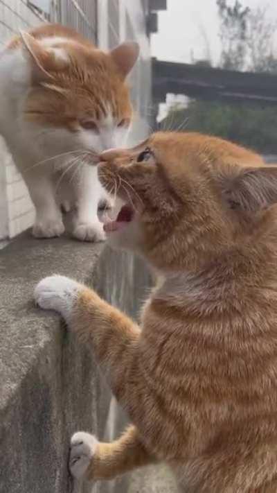 Legend says it's been going on even until today.