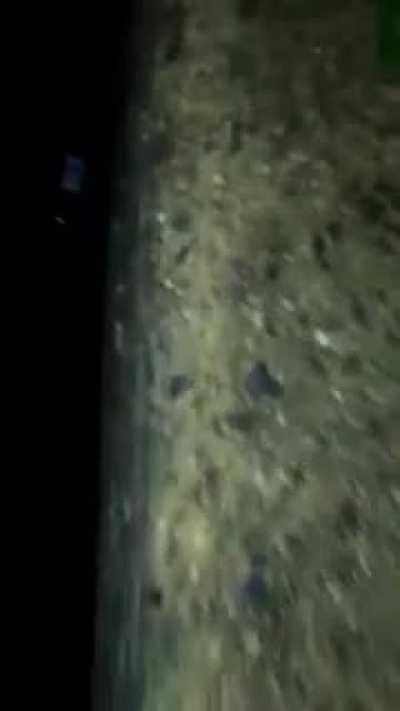 What are they doing? Here???