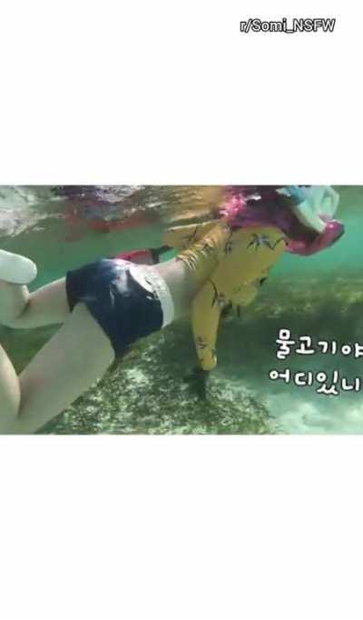 Jeon Somi - Bikini + Law of the Jungle + Barrel