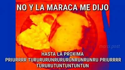 Y la maraca me dijo...