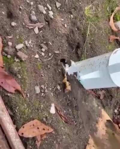 I feel like this fits here perfectly