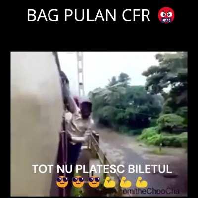 bag pulan caile furate romane :))