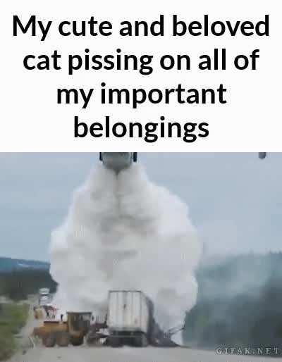 Pushin 🅿️ 💪🏼💪🏼💪🏼💪🏼💪🏼💪🏼