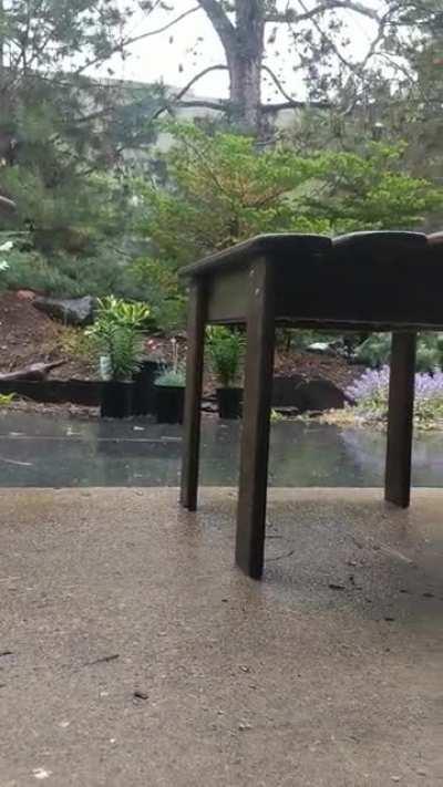 I love rainy days at my new apartment!